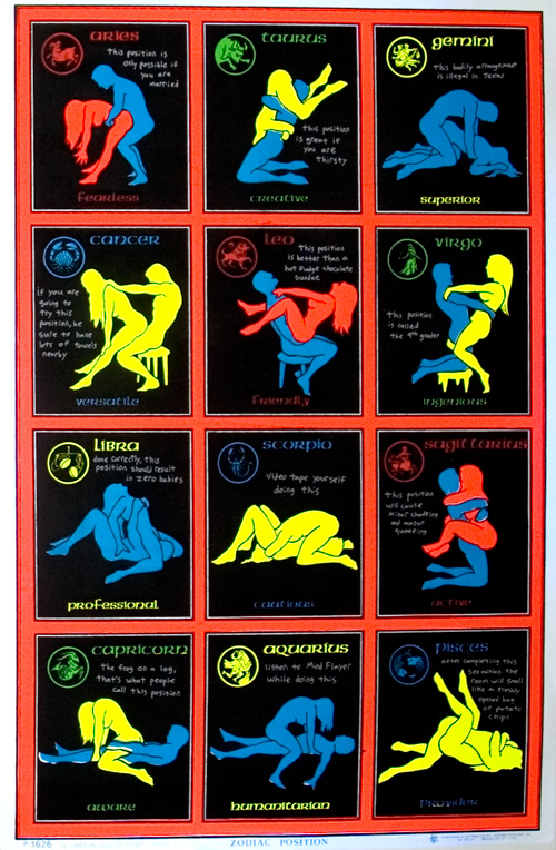 funny sex positions. New Sex Positions